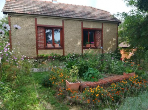 Ruralna kuća za odmor Pozojova hiža - Rural Holiday House